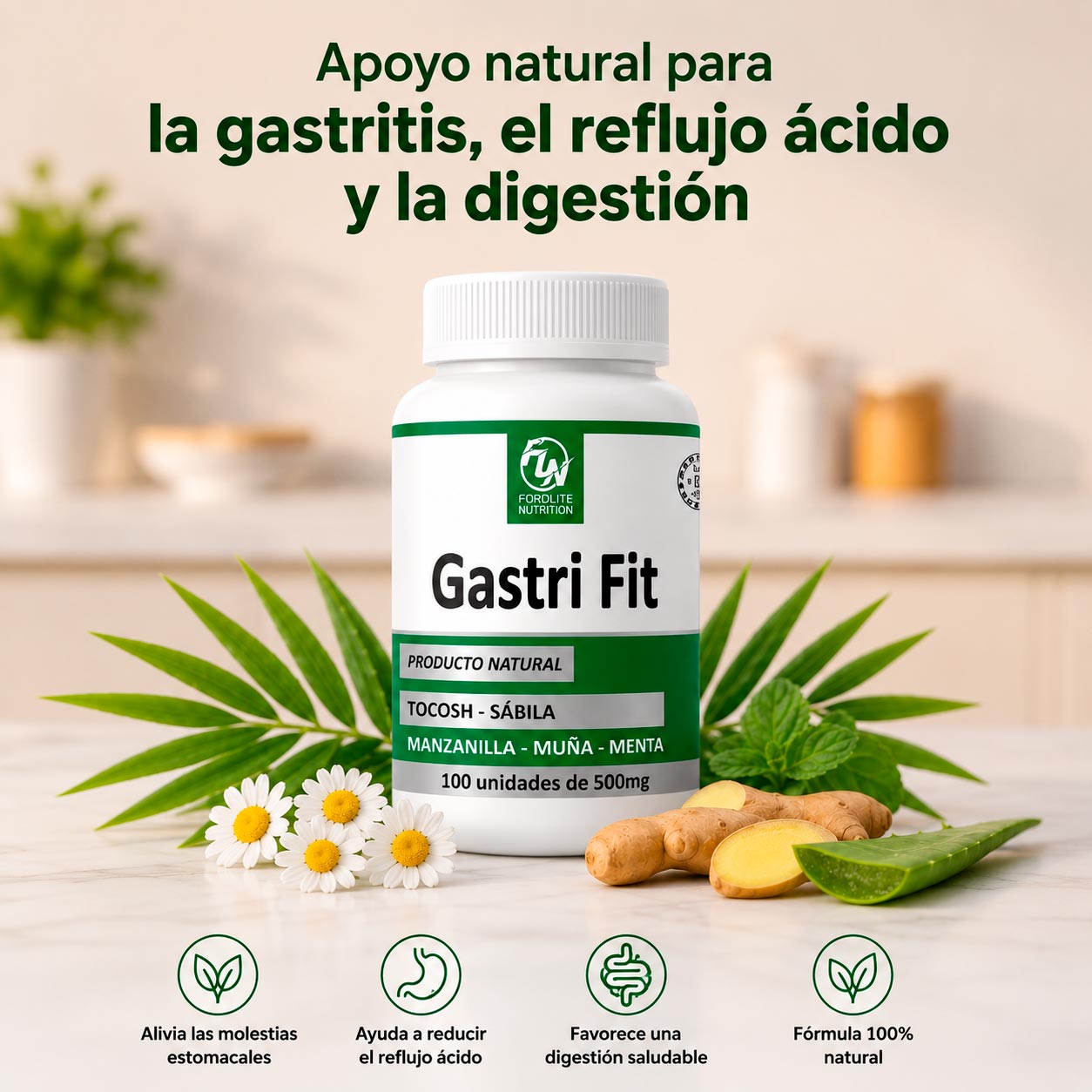 FITO CENTER GASTRI-FIT 60CAPS F